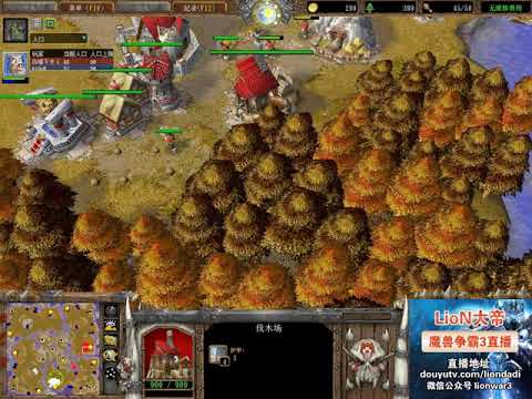 【幸福豪华装】魔兽争霸大帝解说 Fly vs Sok FP