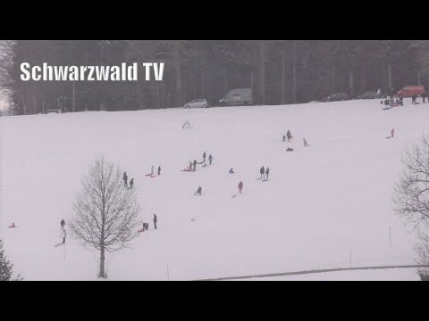 🚨❄️ Winterimpressionen am Schlittenhang Steinernes Kreuz in Herrischried [21.01.2023]