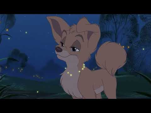Disney's Lady-And•The-Tramp 0II- Scamp's Adventure (2001) - An Chapter 014
