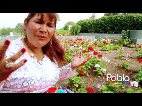 SAMANTHA ARCE   POPURRI Video Oficial