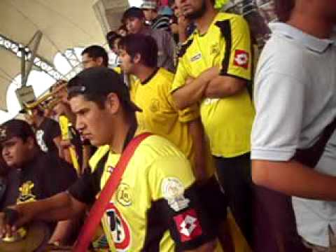 "***ULTRA**KANARIA" Barra: Ultra Kanaria &bull; Club: San Luis de Quillota