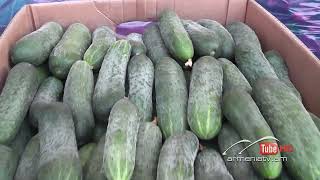 Սուր անկյուն 12.06.2022 - Սոնա Դանիելյան «Կարևորը օտարը չտուժի»