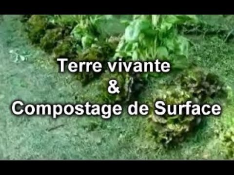 download lagu mp3 mp4 Terre Vivante, download lagu Terre Vivante gratis, unduh video klip Terre Vivante