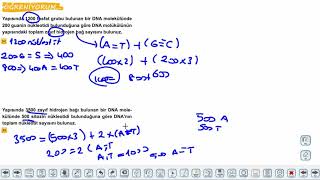 Eğitim Vadisi AYT Biyoloji 9.Föy Nükleik Asitler 1 Konu Anlatım Videoları
