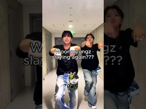 I never repost without editing, but omg these two blew me away 😭😭 SUPPORT ECHO! #hxw #bnd #swf #echo