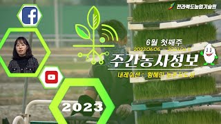 [ 주간농사정보 ] 6월 1째주 (2023. 06. 05. ~ 06. 11.)