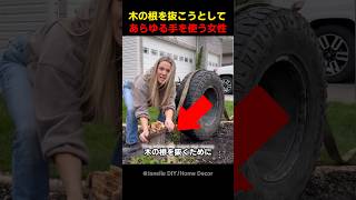 木の根を抜こうとしてあらゆる手を使う女性