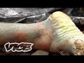 The Farm of Rotting Corpses in Tennessee The Farm of Rotting Corpses in Tennessee