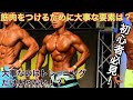 【初心者向け】筋トレしても筋肉がつかない人の原因は？筋肉をつける為に重要な要素は？