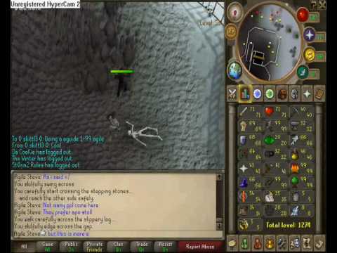 1-99 Agility Guide!!!