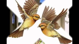 THE END OF A LOVE AFFAIR - HOW ABOUT ME - PIA ZADORA