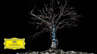 Gidon Kremer – Glass: New Seasons Movement II - Rimas Sakalauskas