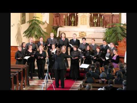 Viadana kamarakórus: Byrd - Lullaby my sweet little baby