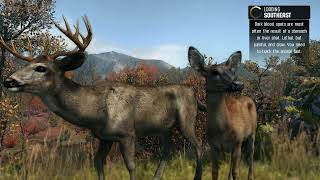 Cabela's Big Game Hunter: Pro Hunts Wii U Gameplay