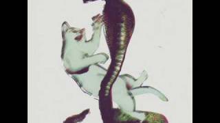 Les Savy Fav -=- "We've Got Boxes"