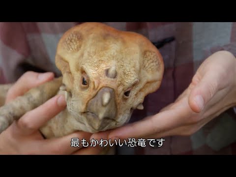 特別映像【ドロレスとの出会い】（字幕版）