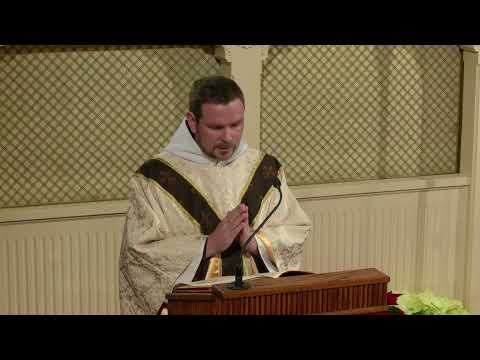 Readings and Homily - 2026-01-03 - Fr. Patrick
