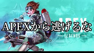 【APEX】APEXから逃げるな【高画質配信】