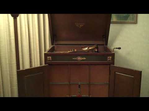 NAT SHILKRET THE VIRGINIANS - IN THE SING-SONG SYCAMORE TREE - ROARING 20'S VICTROLA 8-9