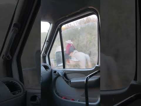 piquete de Anta Salta volviendo a las Lajitas  #automobile #nature #yosoydelos7mil