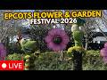 Live Epcot S Flower And Garden Festival 2026 Walt Disney World 03 05 2026