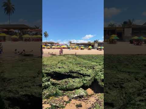 Cachoeira na praia ?