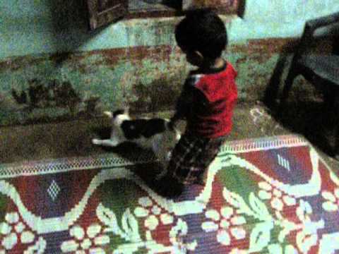 Harikesh in kuruvadi playing with cat
