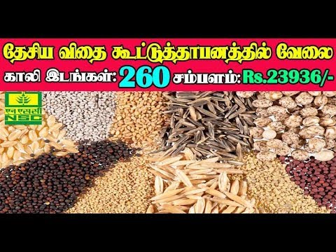 NSC Recruitment 2019 260 MT, Trainee Posts|National Seeds Corporation| vip jobs