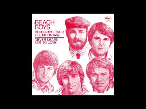 The Beach Boys - Bluebirds Over The Mountain (Stereo Mix with Mono Single Overdubs)