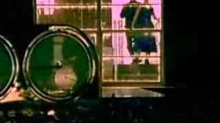 &quot;Groovy Tuesday&quot; / Swan Dive