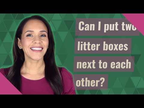 Can I put two litter boxes next to each other?