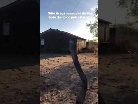 sítio Araçá município de São João do Rio do Peixe