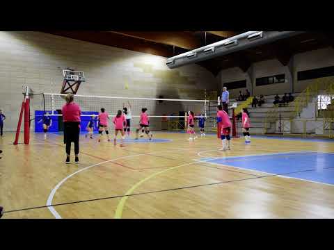 Le Fagianine stanno tornando !!!  1^