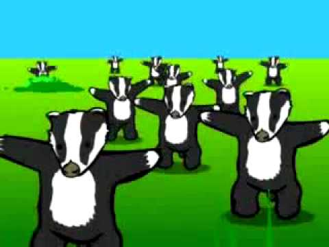 Badgers Dance (Tańczące Borsuki)