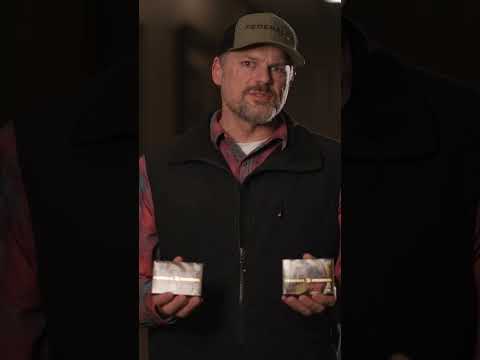 Federal BYOB Champion .22 LR Rimfire Hollow Point Ammo - 5 Gun Shooting Review