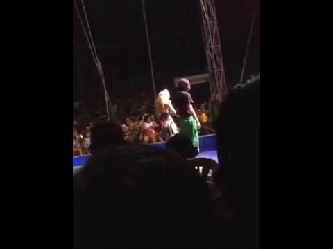 Palhaço Rolinha - O gato comeu