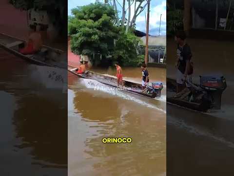 #AltoOrinoco Sabías esto?🤔🏹🇻🇪 #venezuela