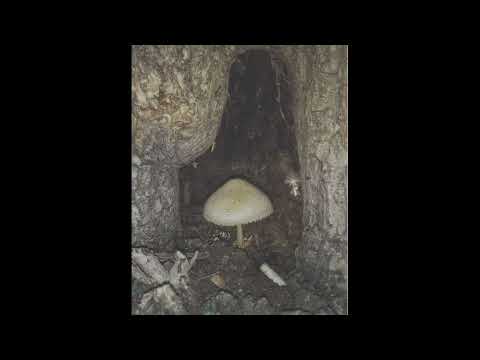 παγκακι αλα μπαρ Μαριος Ονακ