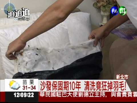 保固10年沙發 拆清洗竟狂噴羽毛