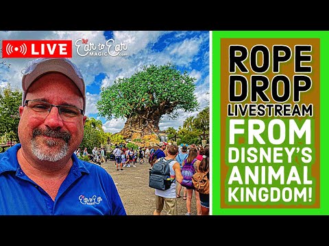 🔴 LIVE - Rope Drop Animal Kingdom Livestream - Disney World 3/24
