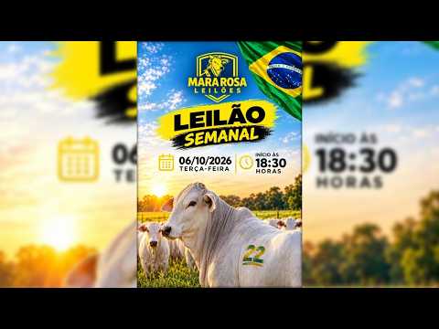 MARA ROSA LEILÕES - GOIÁS - LEILÃO DE GADO DE CORTE 06/10/2026