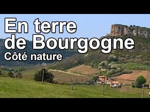 Sites de rencontre angouleme annonce coquine reims putes à côtes-darmor