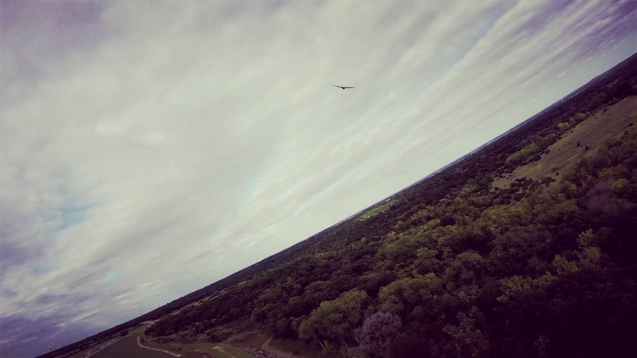 Flying With Eagles (in 2K)