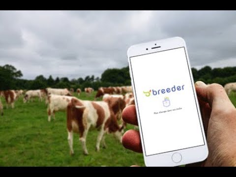 Breeder