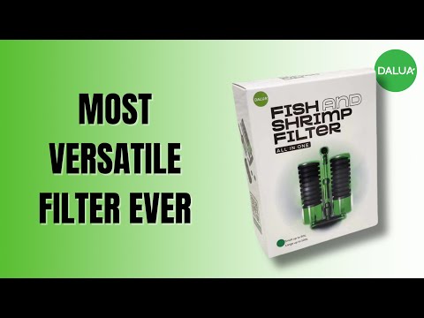 Dalua Shrimp Filter Instructions