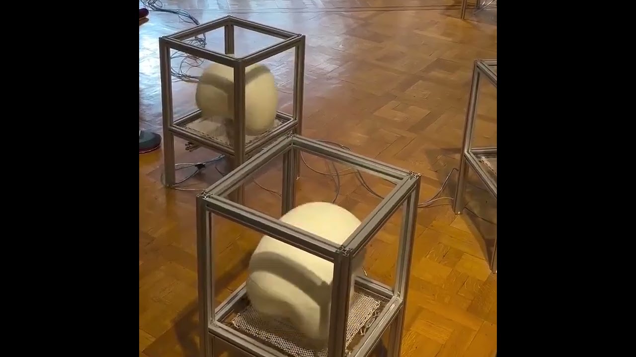 When uptempo hardcore plays