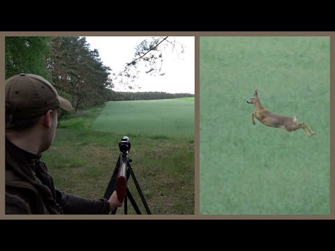 Spannende Pirsch auf den „Alten Bekannten“