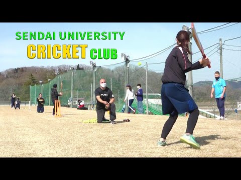体育学科 仙台大学 女子クリケット部紹介動画