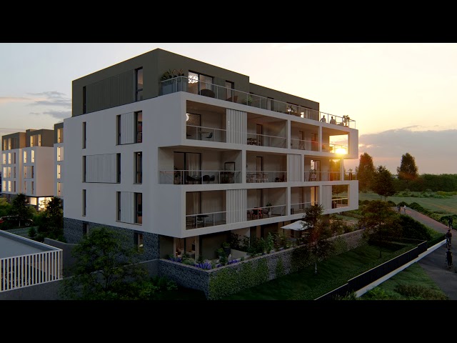 Média de LINGENHELD IMMOBILIER - n°1