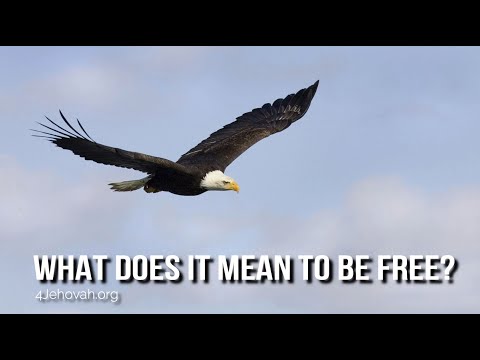 What Does It Mean to Be Free?